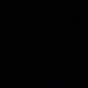 Meet your Posher, Patsy